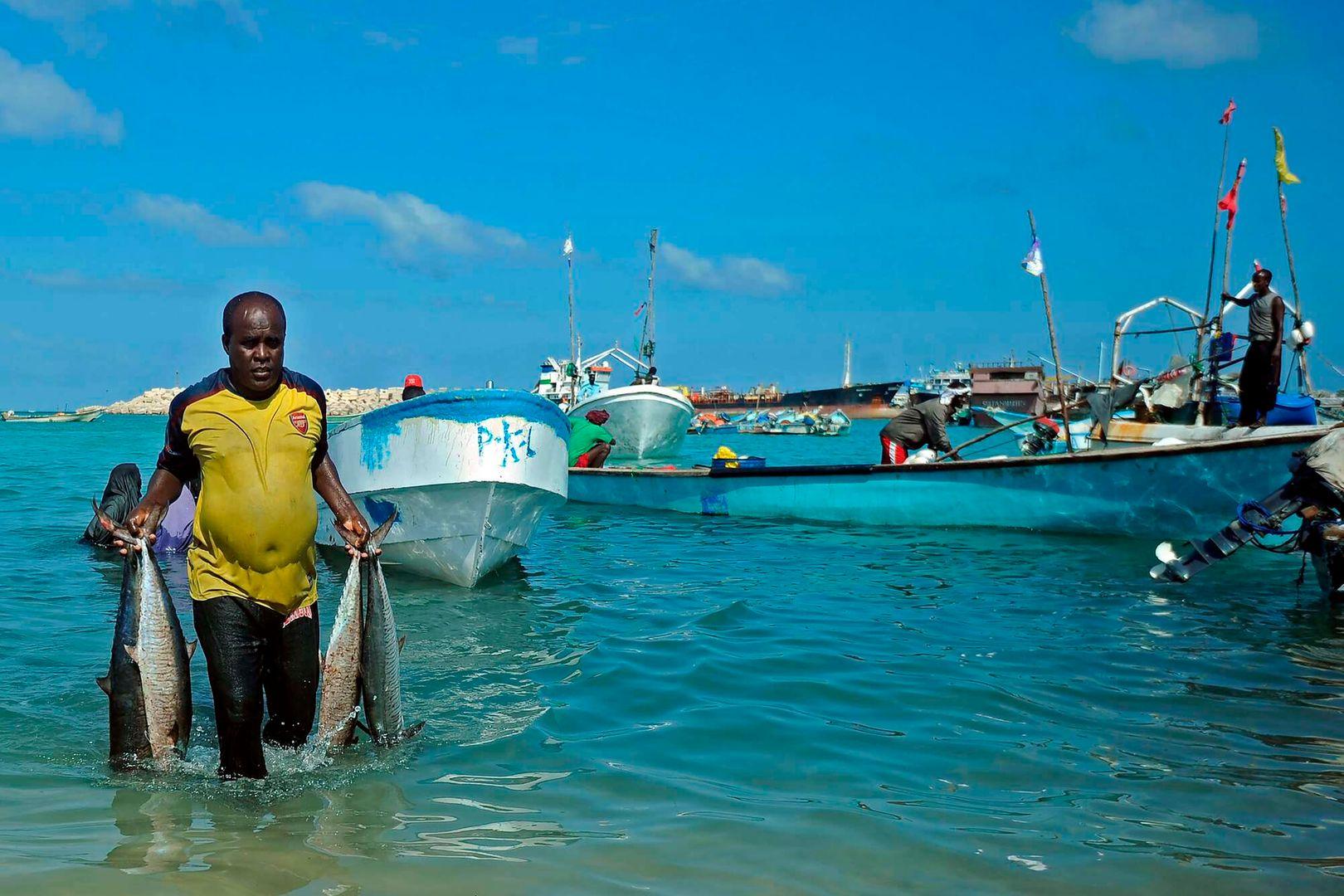 IFES Institute Launches Integrated Fisheries Skills and Livelihoods Program in Bosaso, Puntland Somalia